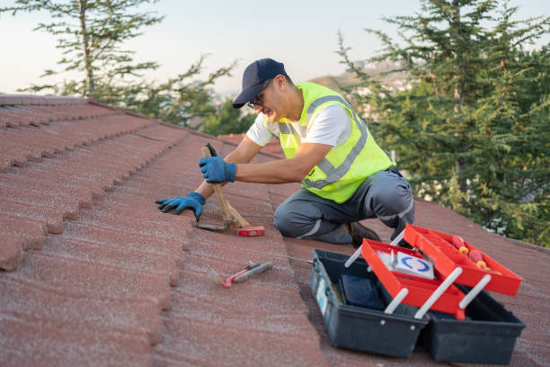 Best Metal Roofing Contractor  in Atasdero, CA