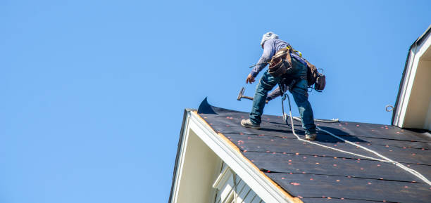 Best Roof Gutter Cleaning  in Atasdero, CA